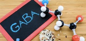 GABA