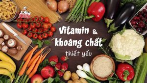vitamon 5 1